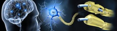 Multiple sclerosis research paper